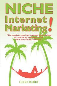 niche-internet-marketing-book